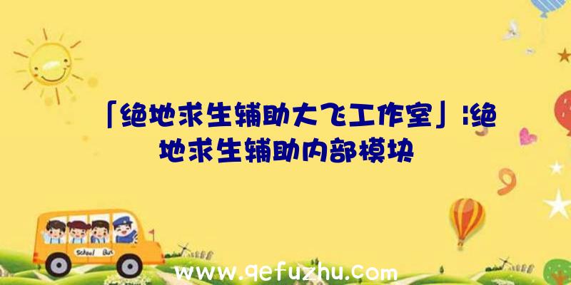 「绝地求生辅助大飞工作室」|绝地求生辅助内部模块